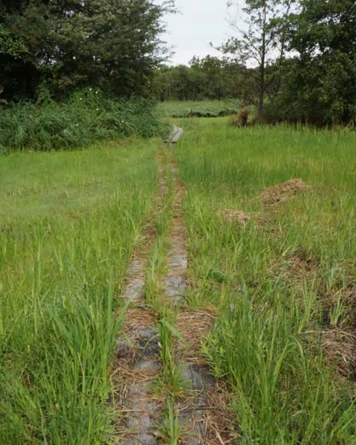 Trek je laarzen aan voor het Laarzenpad