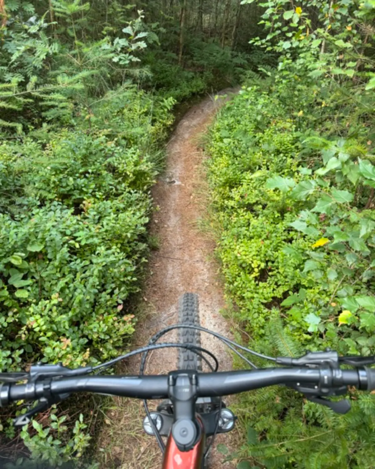 Pak de singletracks van de Woldberg