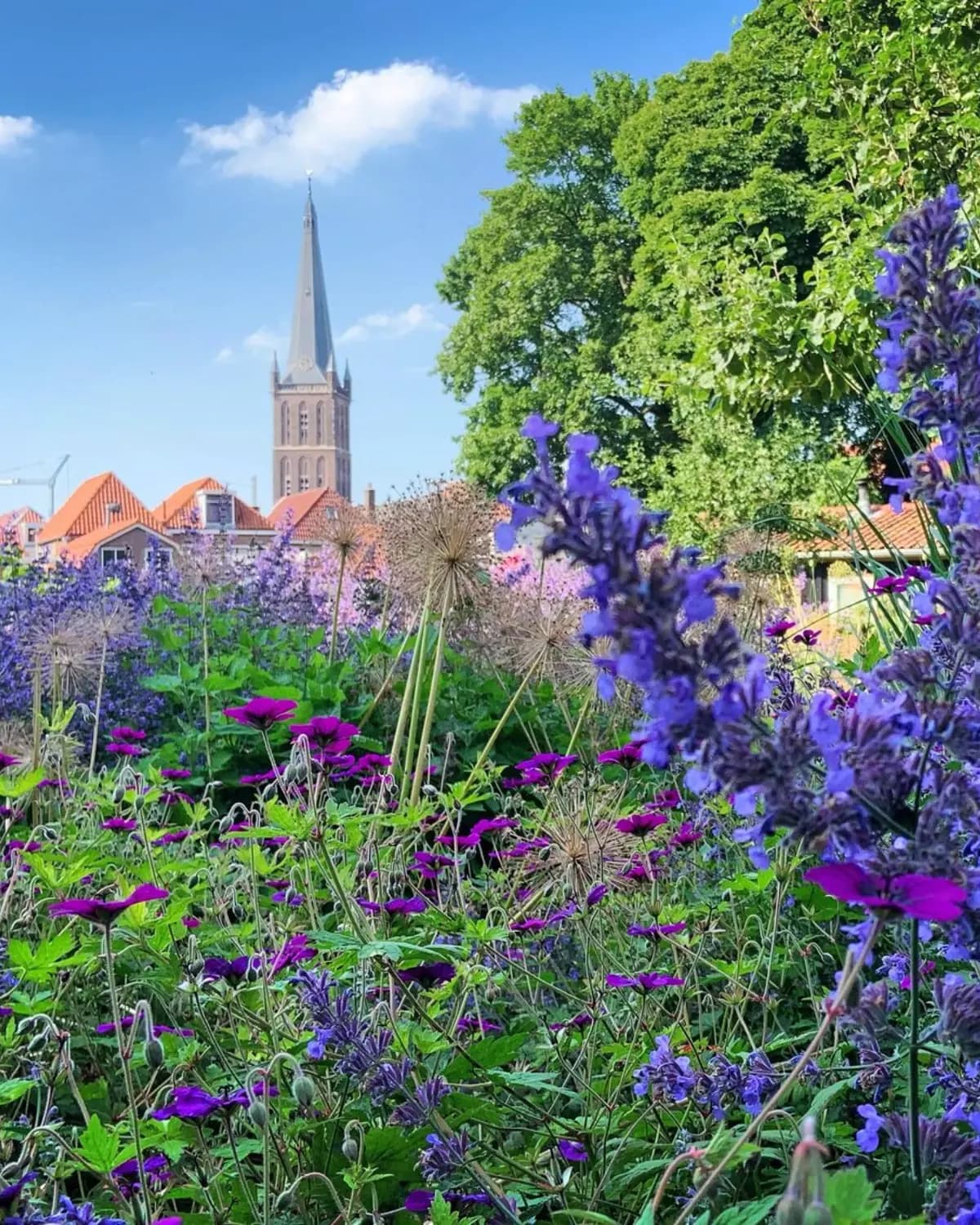 Picknick in Stadstuin De Nettelbosch