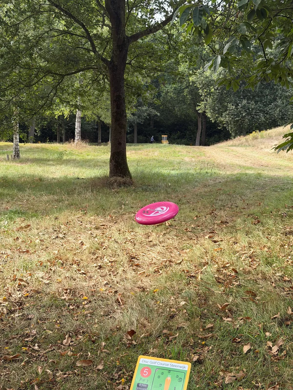 Daag iemand uit voor een potje discgolf