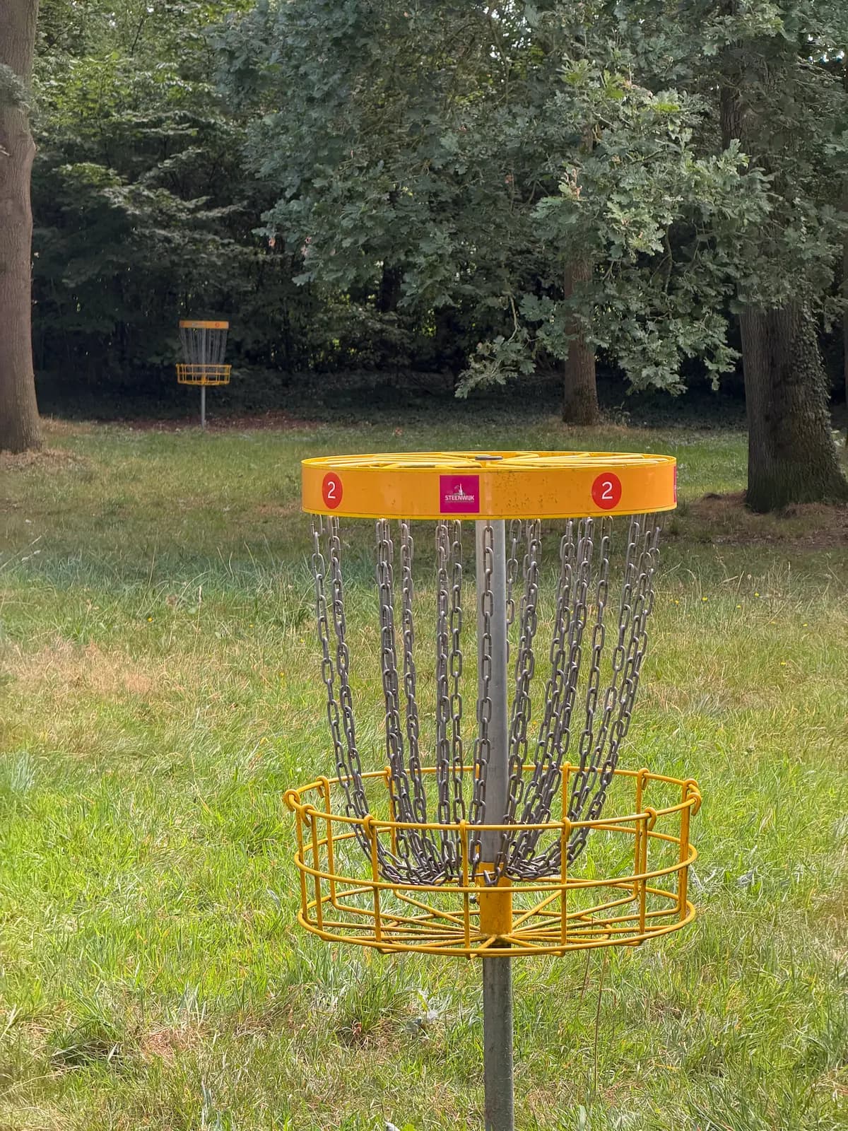 Daag iemand uit voor een potje discgolf foto 1