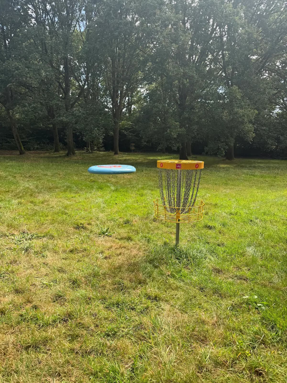Daag iemand uit voor een potje discgolf foto 2