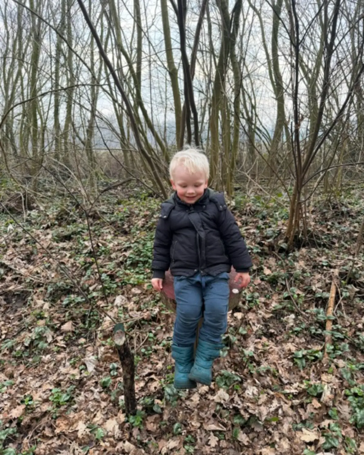 Zoek de kabouters in 't Krullebossie