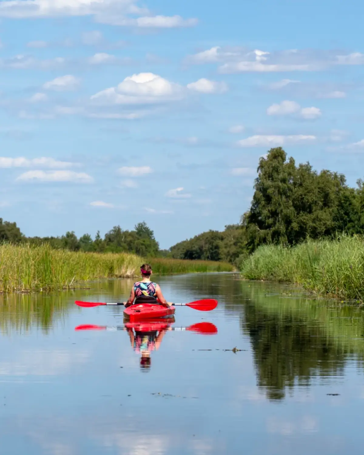 Kano door de rietlanden van de Weerribben