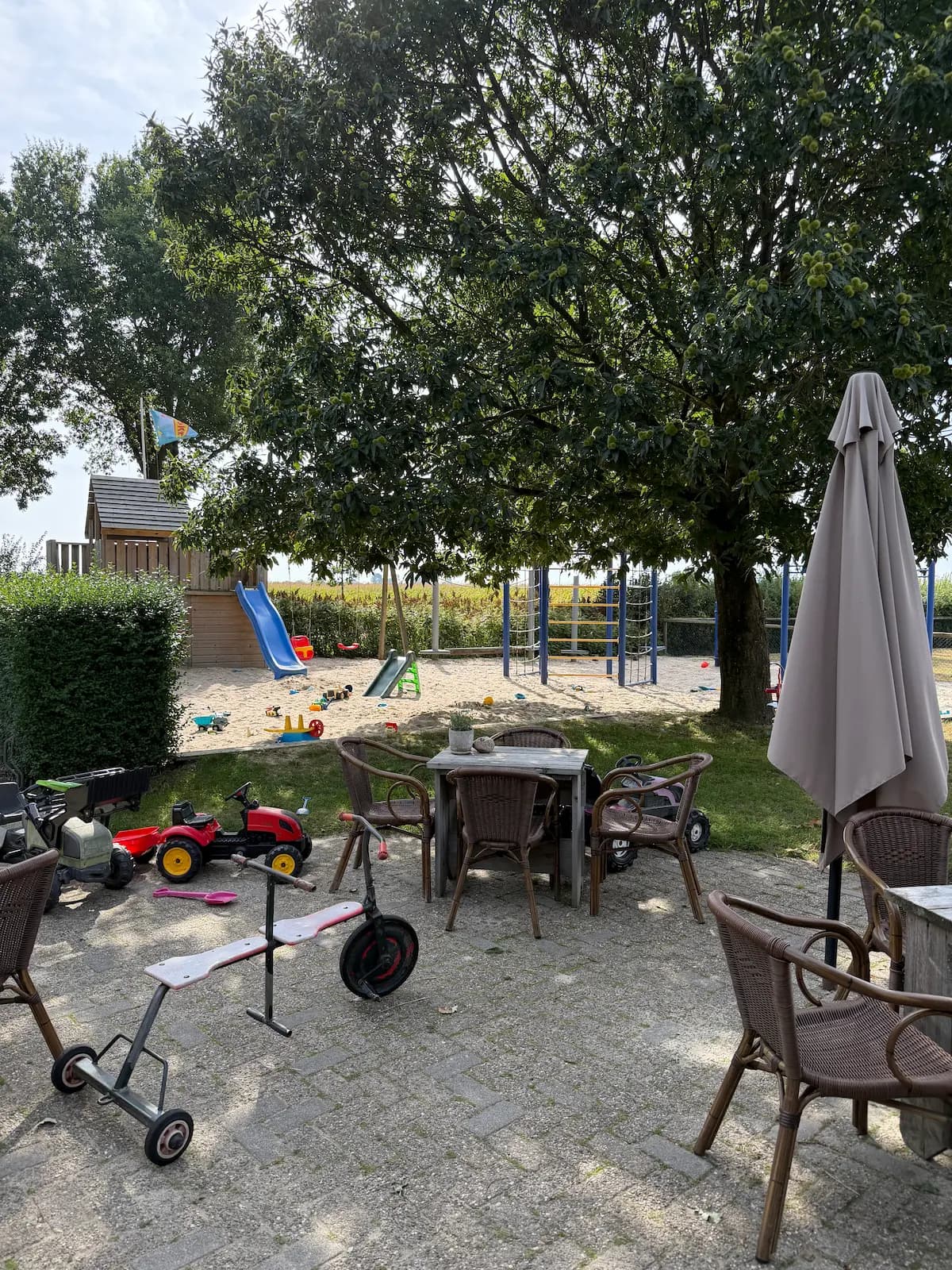 Spelen tussen de dieren bij De Thijenkaampe